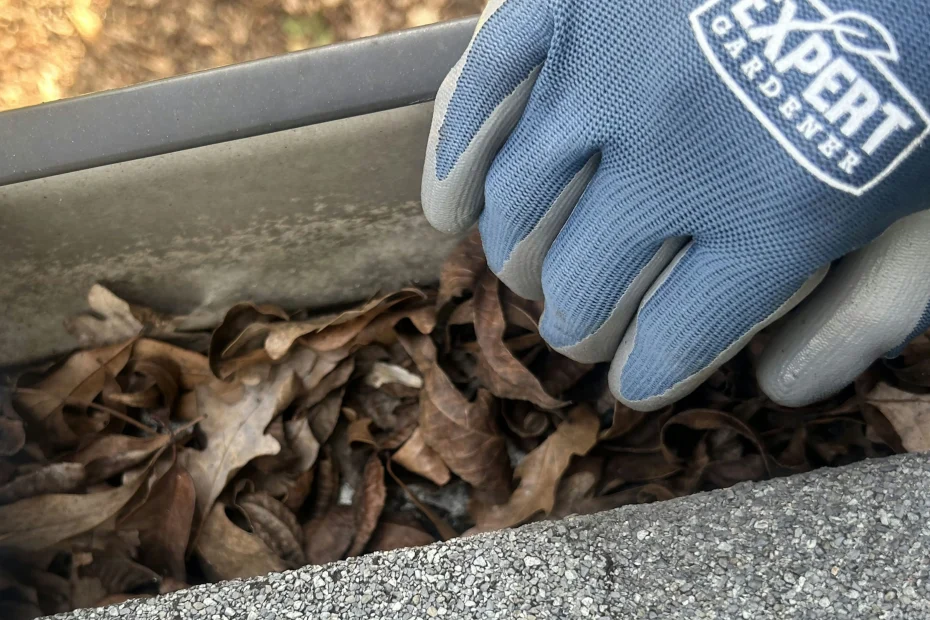 Gutter Cleaning Milford